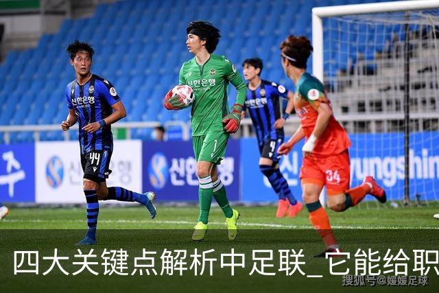 四大关键点解析中足联 它能给职业联赛带来哪些改变?