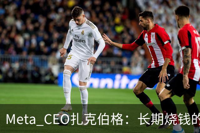 Meta CEO扎克伯格：长期烧钱的Muse和Reality Labs终于盈利在望